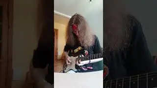 Avenged Sevenfold - Seize the Day ( mine cover )
