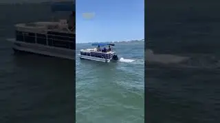 "Trim down!!".... "How?!?".anothermind blower. VOLUME UP