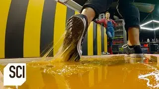 Can You Walk on Rodent Glue Without Getting Stuck? | MythBusters Jr.
