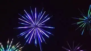 LIB 2022 LED Dandelions