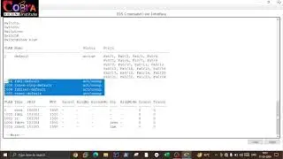 How to configure VTP in Cisco packet tracer | Configure Virtual trucking protocol on Cisco router