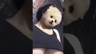 terekam remas payudara 