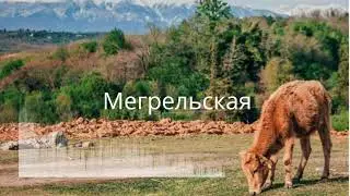 Мегрельская плясовая старинная