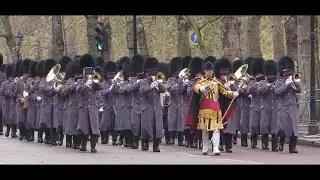 Remembrance Sunday 2014, London: The Military Bands