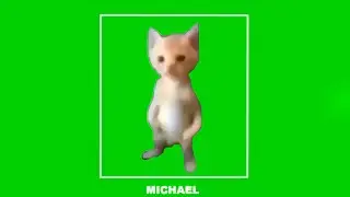 Michael The Cat Meme Green Screen