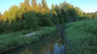 Попытка поймать щуку в Летние заморозки 2021
