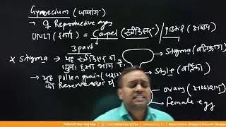 Sexual reproduction of flowering plants | Lecture -02 Class - NEET TARGET Hindi