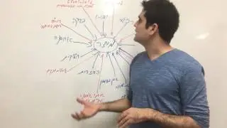 מהן ההוצאות האמיתיות סביב הקמת מותג באמזון ?