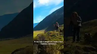 Алтай, Ты прекрасен🔥 Пленэр на Алтае, май 2023, индивидуальный тур по уникальному маршруту