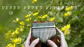 BIGBANG - '봄여름가을겨울 (Still Life) - Kalimba cover with number notes