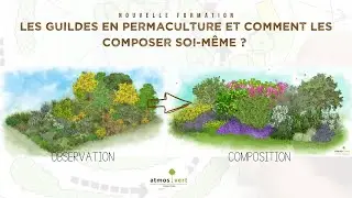 Comment créer une guilde en permaculture soi-même ?