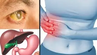 How does the liver function in the human body? How does our liver work? Sarvasatya