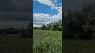 the sound of nature