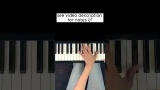 ⭐️TUTORIAL⭐️ 