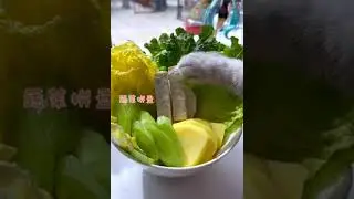 kucing lagi masak