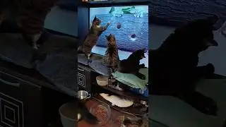 Катя, Мотя и Филя ловят мышей.