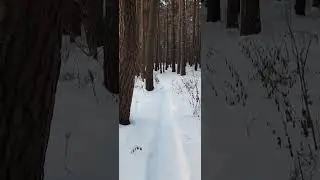 ДНЕВНИК ОКТЯБРЬ 2023 ЧАСТЬ-2