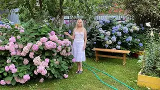 Чем занимаюсь на даче . Принимаю заказы