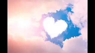 Fallen Love