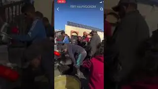 Голодные ₽алеsтинцы в поисках пищи!Видео @trtrussian