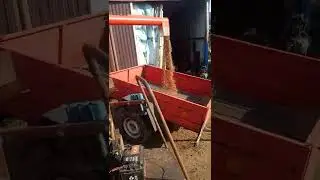 оживил японца