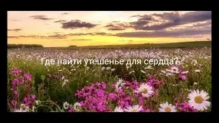 Где найти утешенье для сердца?