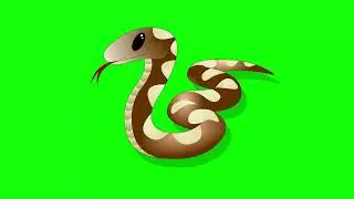 Green Screen Cartoon Animals - Green screen Snake Free Video