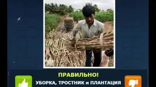 ОТВЕТЫ игра 