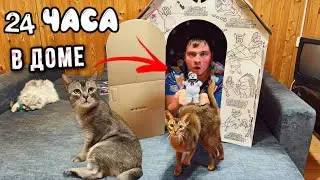 24 ЧАСА В КАРТОННОМ ДОМЕ С ЗЕФИРНЫМИ ЧЕЛОВЕЧКАМИ