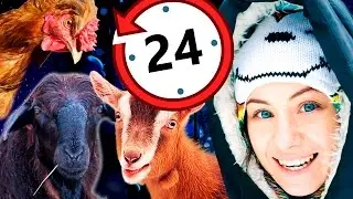 Провела НОЧЬ с животными! 24 ЧАСА ЧЕЛЛЕНДЖ! ПРАНК? Животные Magic Family