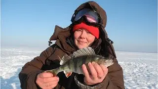 К Марии за окунем Ловля полосатого на Горьковском море