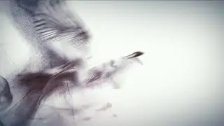 CCTV INK