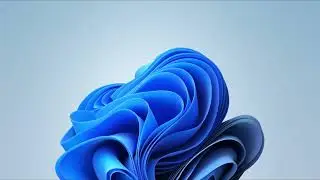 Windows 11 Startup Bloom Animation! | But I want this on PC startup  | 