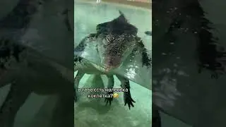 Прохання 🥺 