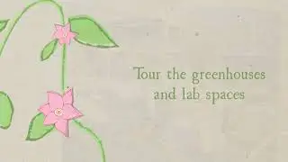 COD Green Sheet - Horticulture Open House