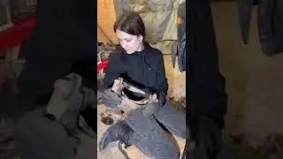 Самый грязный день🫡 