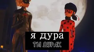 Леди Баг и Супер Кот-Я дура,ты дурак(совместно с 
