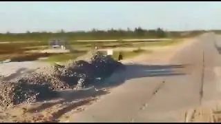 Медведь охотится на оленей