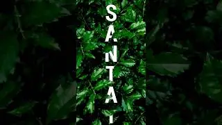 Mind blown? Create this Leaves Text Effect in Photoshop!