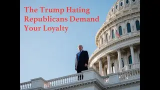 Trump Hating Republicans Become Kamala Harris's Cheap Date