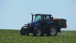 La fertilizat floarea soarelui 🌻 New Holland T6-165 + Amazone ZA-M 1501