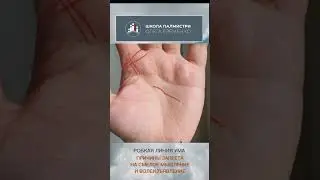 Робкая линия ума