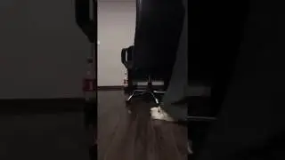 Акита Бучи прячется за шторой