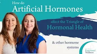 How do Artificial Hormones affect the Triangle of Hormonal Health