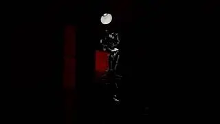The 