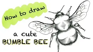 How to draw a cute bumble bee / Tatoo drawing / Graphic art / Insects sketch / ipad drawing
