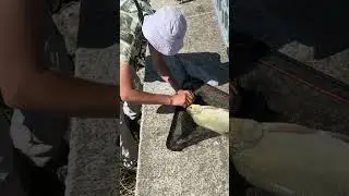 Рибалка ЛЯЩ на 2 кг СУПЕРУЛОВ