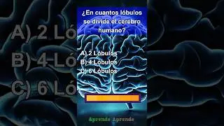 Quiz Cuerpo Humano 7 #quiz #quiztime #cultura #fypシ #fypシ゚viralシ #culturageneral  #fypシ #fypシ゚viral