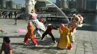 Modern lion dance at Merlion Park, Singapore