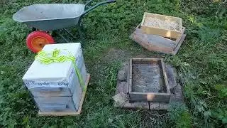 Оптимизация пчеловодства.